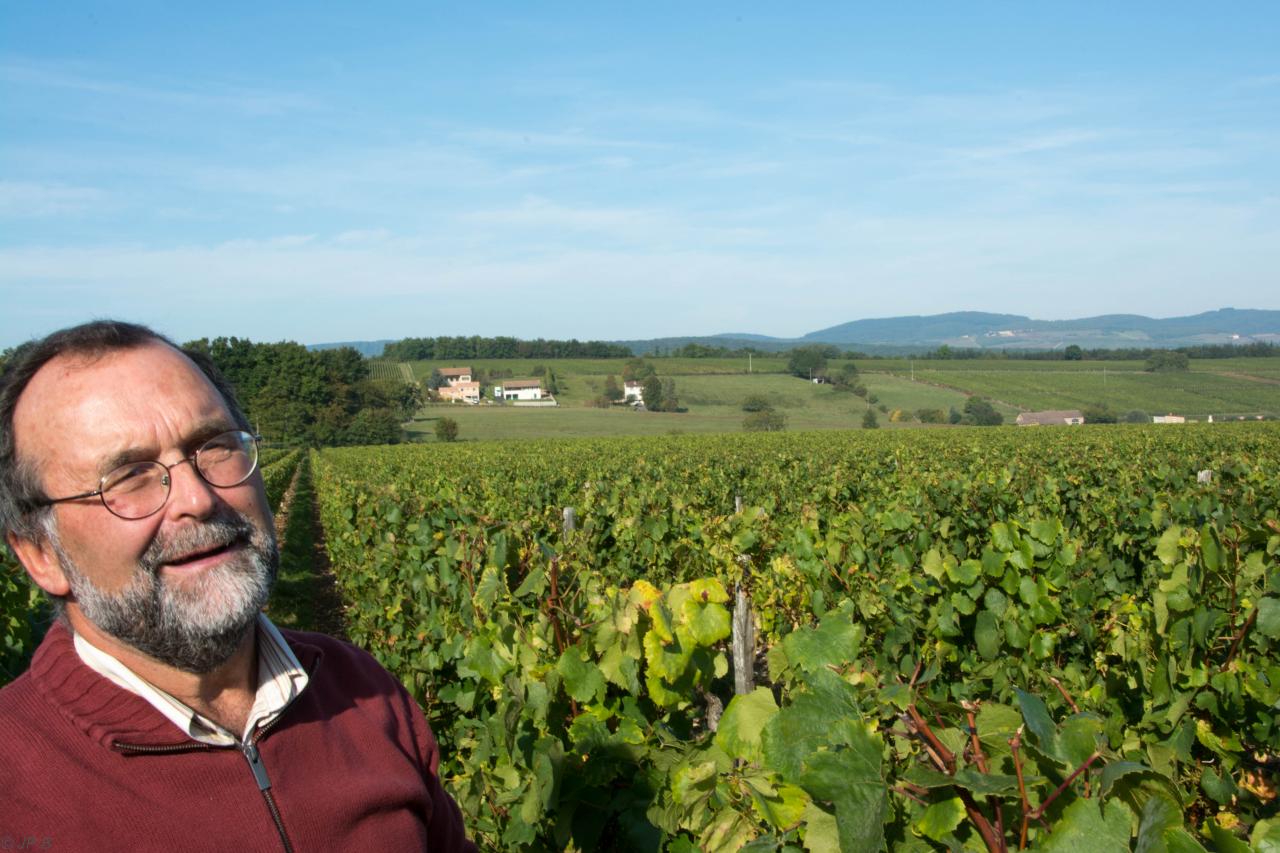 Domaine de Naisse Guy Béranger Récoltant