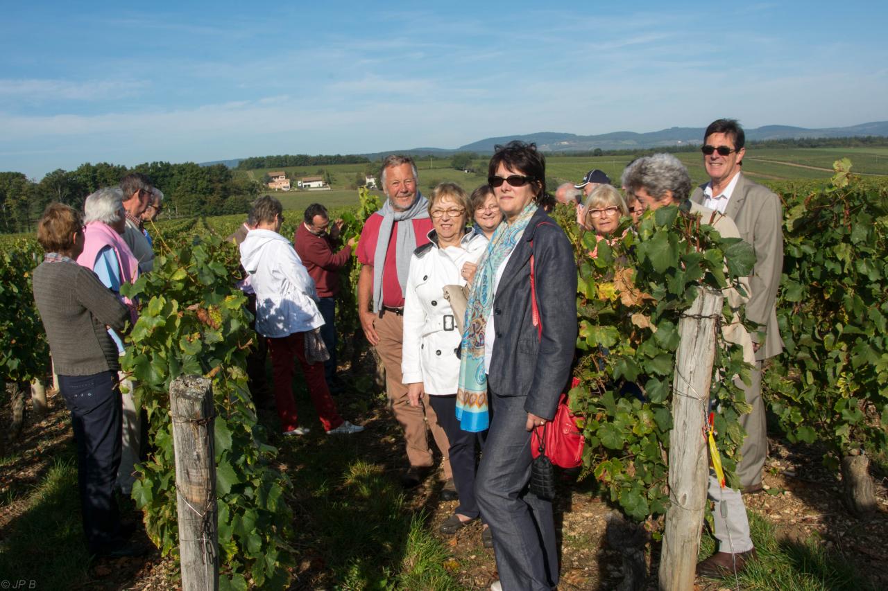 Domaine de Naisse Guy Béranger Récoltant