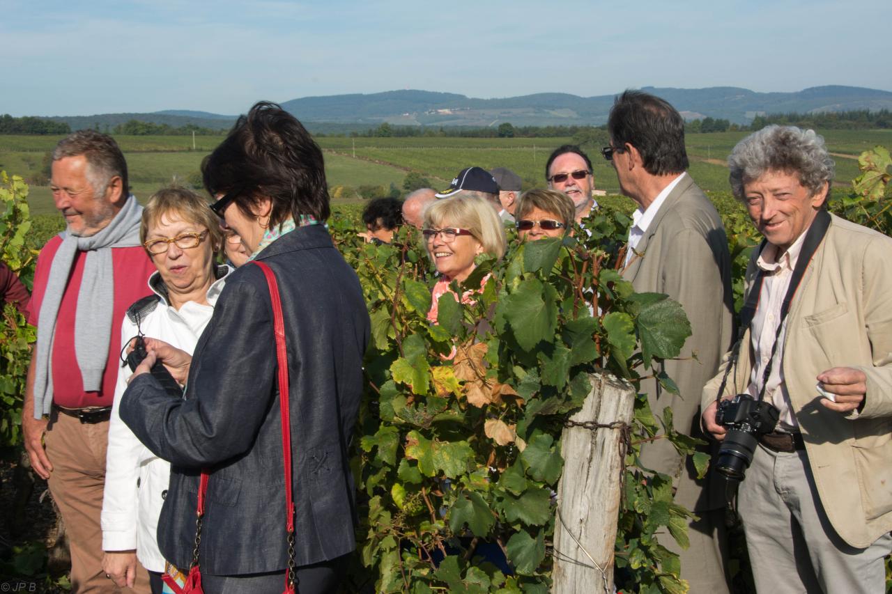 Domaine de Naisse Guy Béranger Récoltant