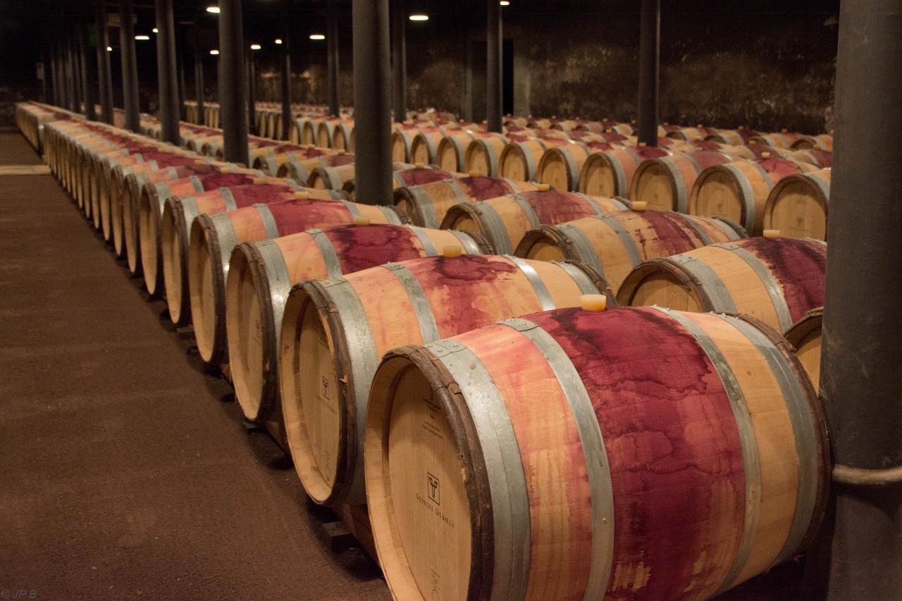 2014_09 Hameau Duboeuf à Romaneche Thorins