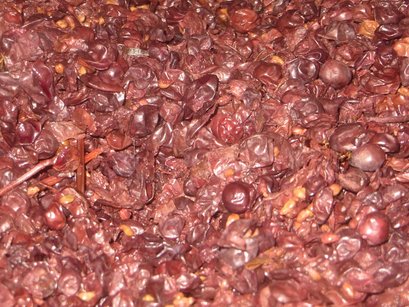 Le travail dans la cuve